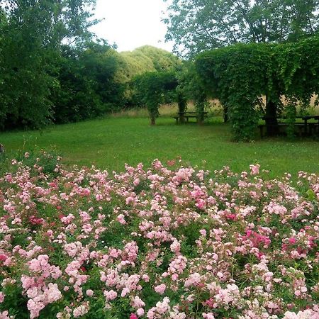 Agriturismo Il Magicorto Cassola Экстерьер фото