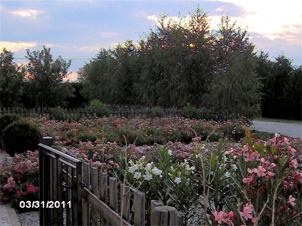 Agriturismo Il Magicorto Cassola Экстерьер фото