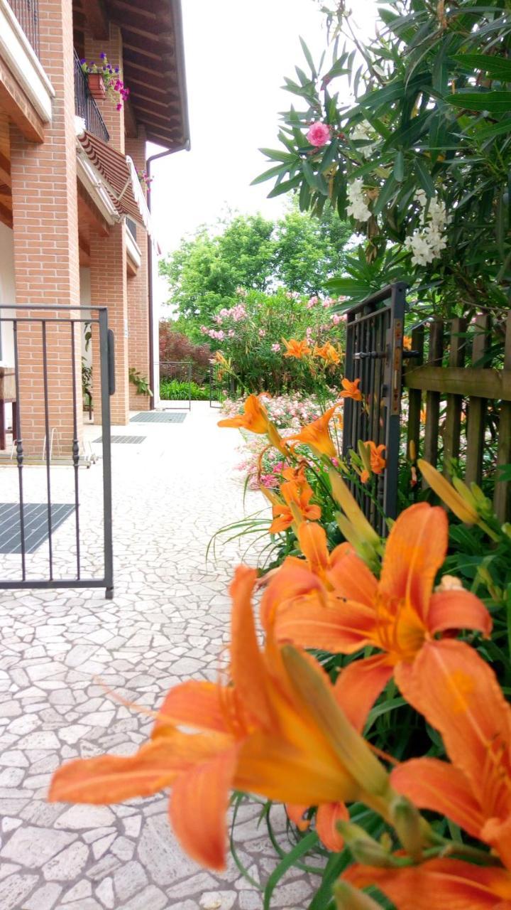 Agriturismo Il Magicorto Cassola Экстерьер фото