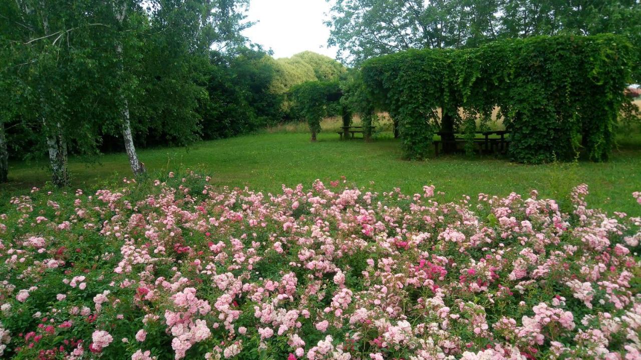 Agriturismo Il Magicorto Cassola Экстерьер фото