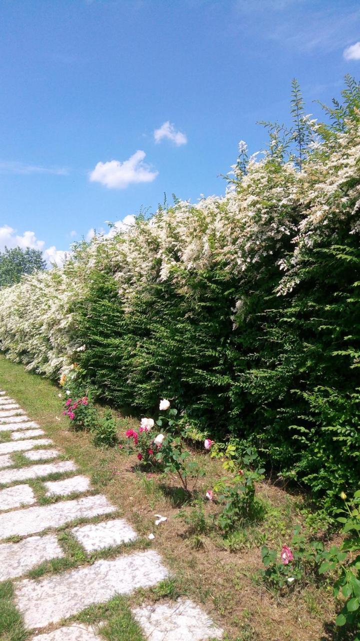 Вилла Agriturismo Il Magicorto Cassola Экстерьер фото